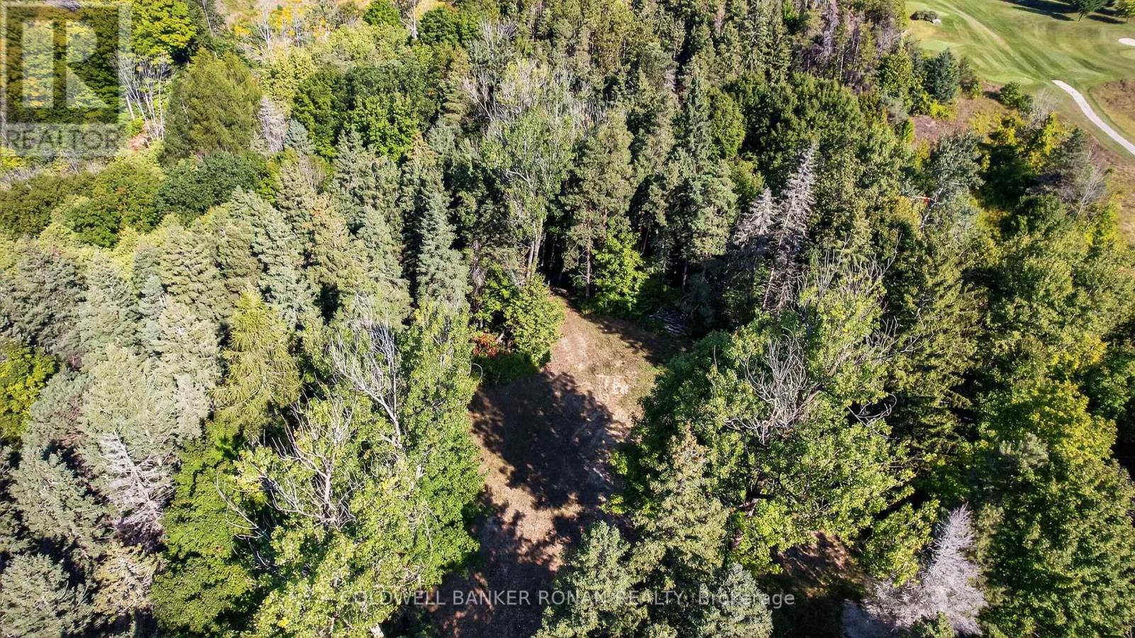 934529 Airport Road, Mono, Ontario  L9W 2Z2 - Photo 10 - X12429553