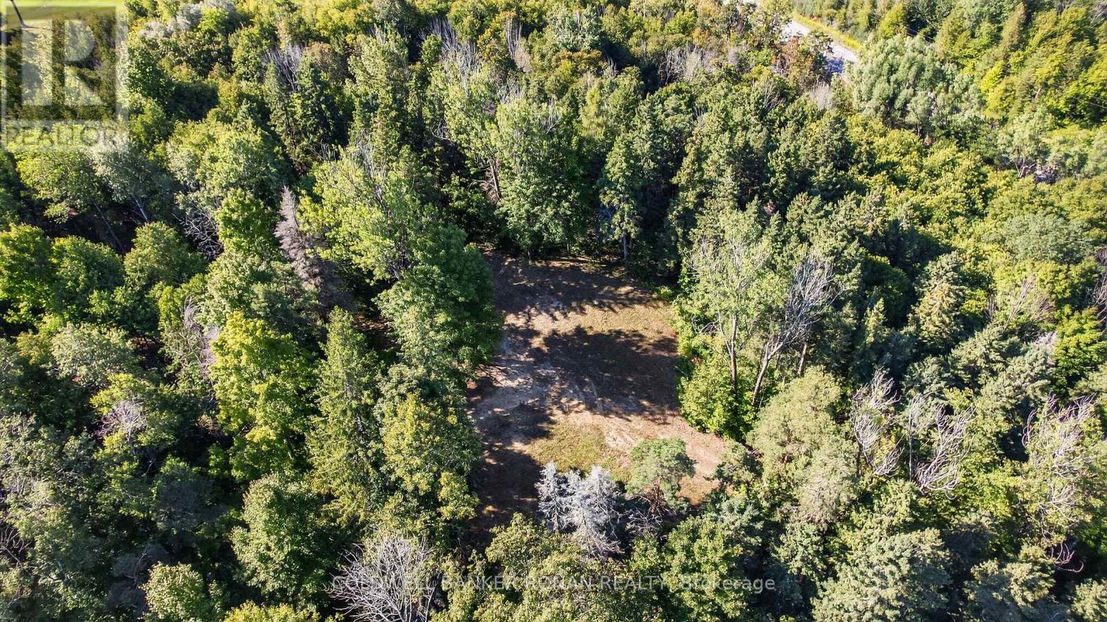 934529 Airport Road, Mono, Ontario  L9W 2Z2 - Photo 9 - X12429553