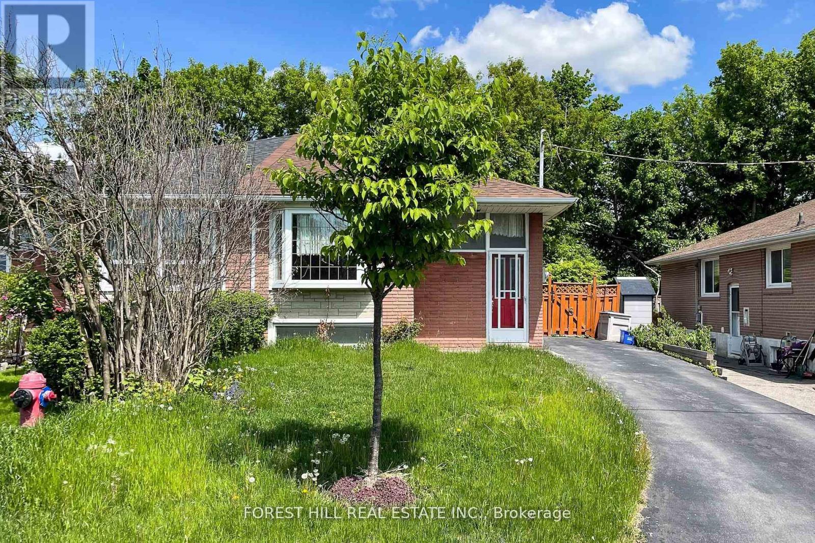 MAIN - 179 SEPTONNE AVENUE, Newmarket, Ontario