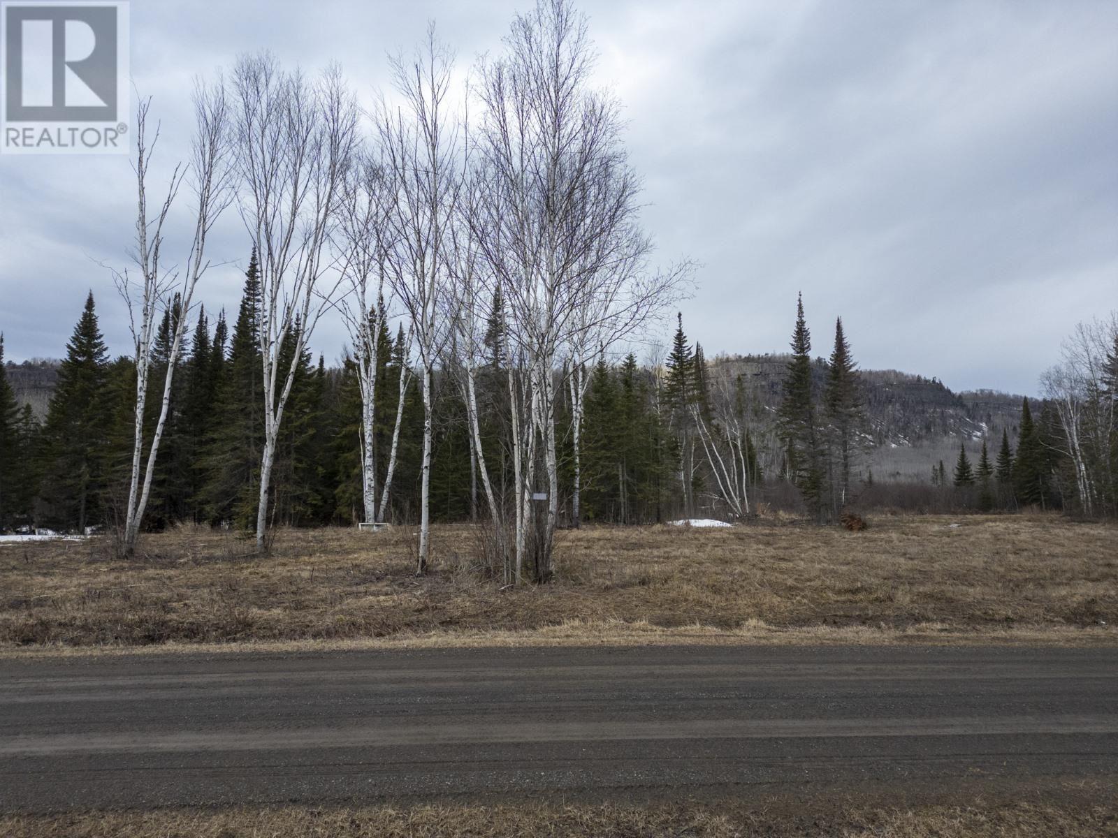 0 Milne RD, Neebing, Ontario