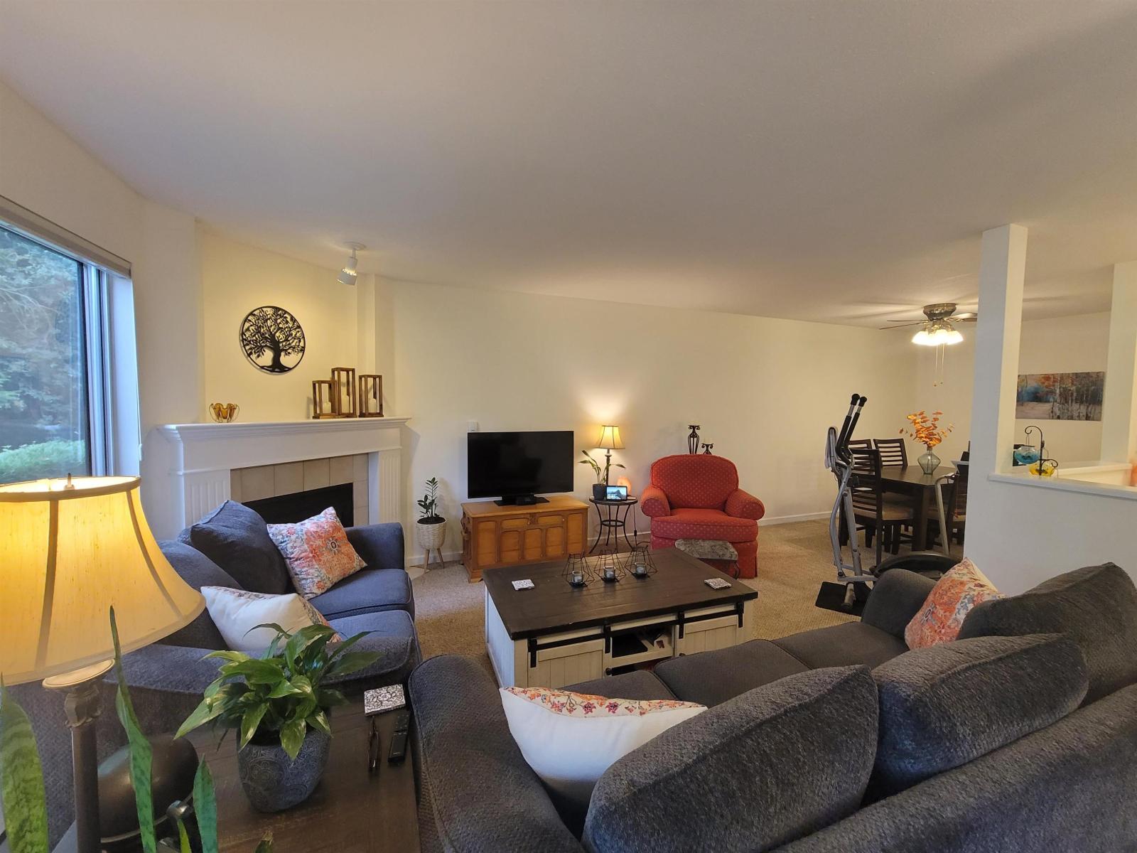 106 7554 Briskham Street, Mission, British Columbia  V2V 3L9 - Photo 3 - R3052611