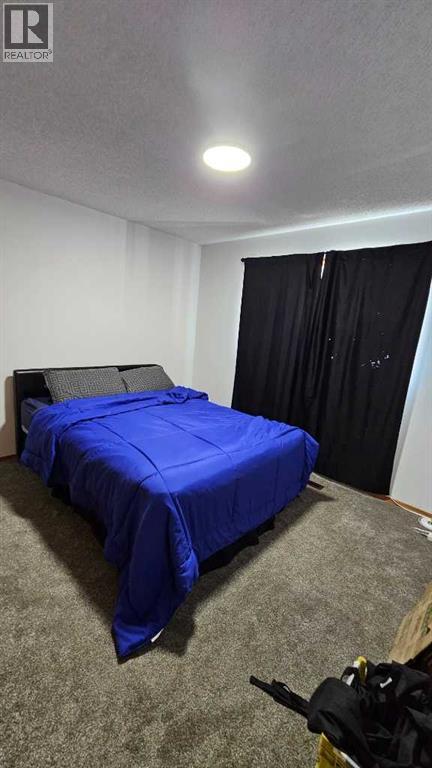 207 Centre Avenue Ne, Milk River, Alberta  T0K 1M0 - Photo 9 - A2236730