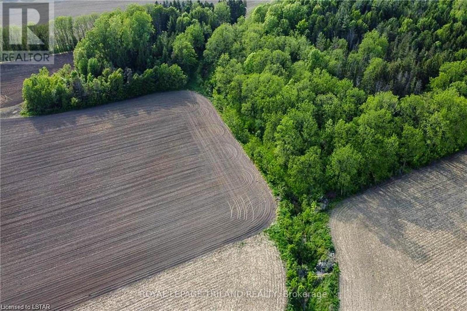 27796 Nairn Road, North Middlesex, Ontario  N0M 2K0 - Photo 10 - X12429849
