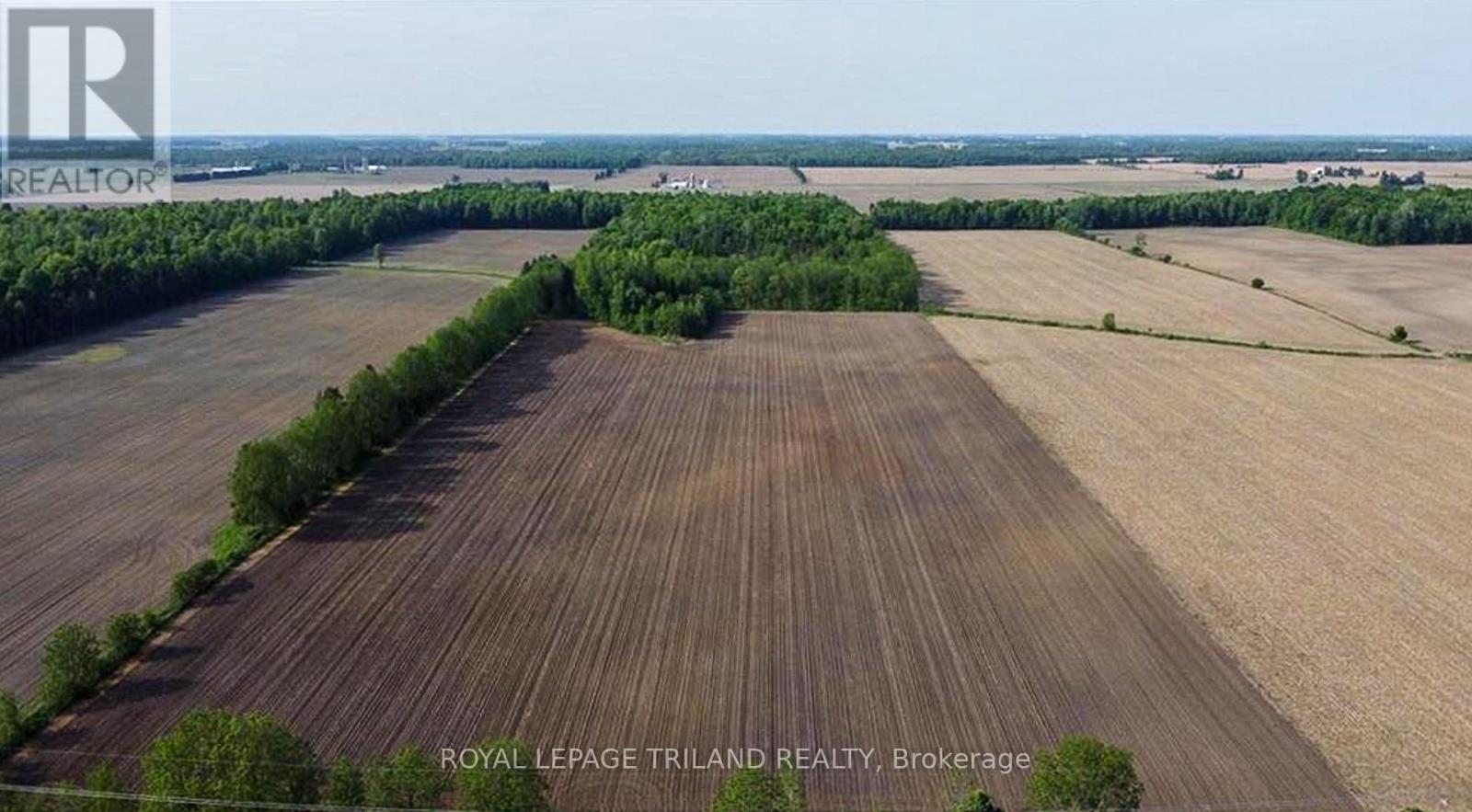 27796 Nairn Road, North Middlesex, Ontario  N0M 2K0 - Photo 5 - X12429849