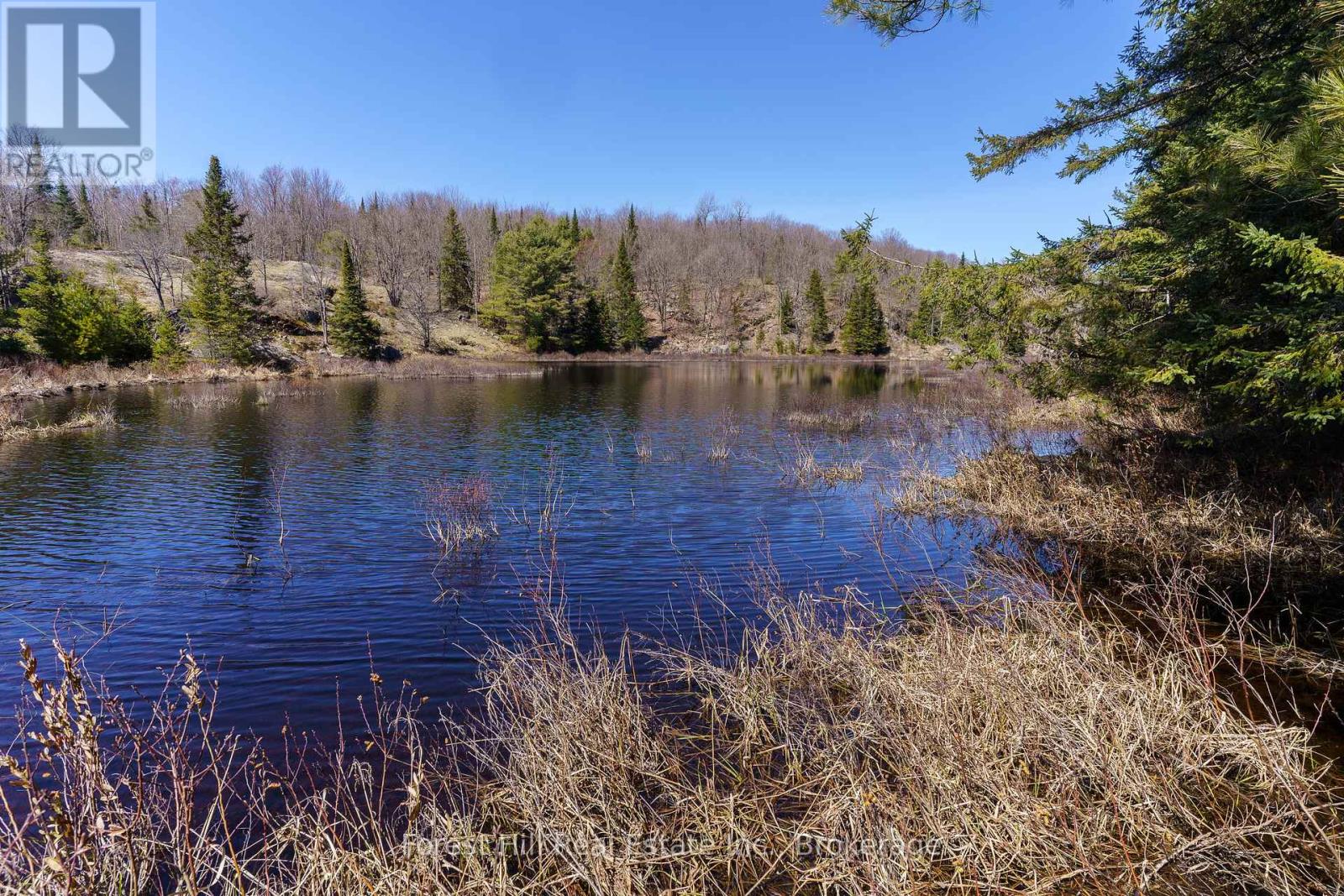 Lt32c9 Concession Line Concession, Lake Of Bays, Ontario  P0A 1B0 - Photo 16 - X12429830