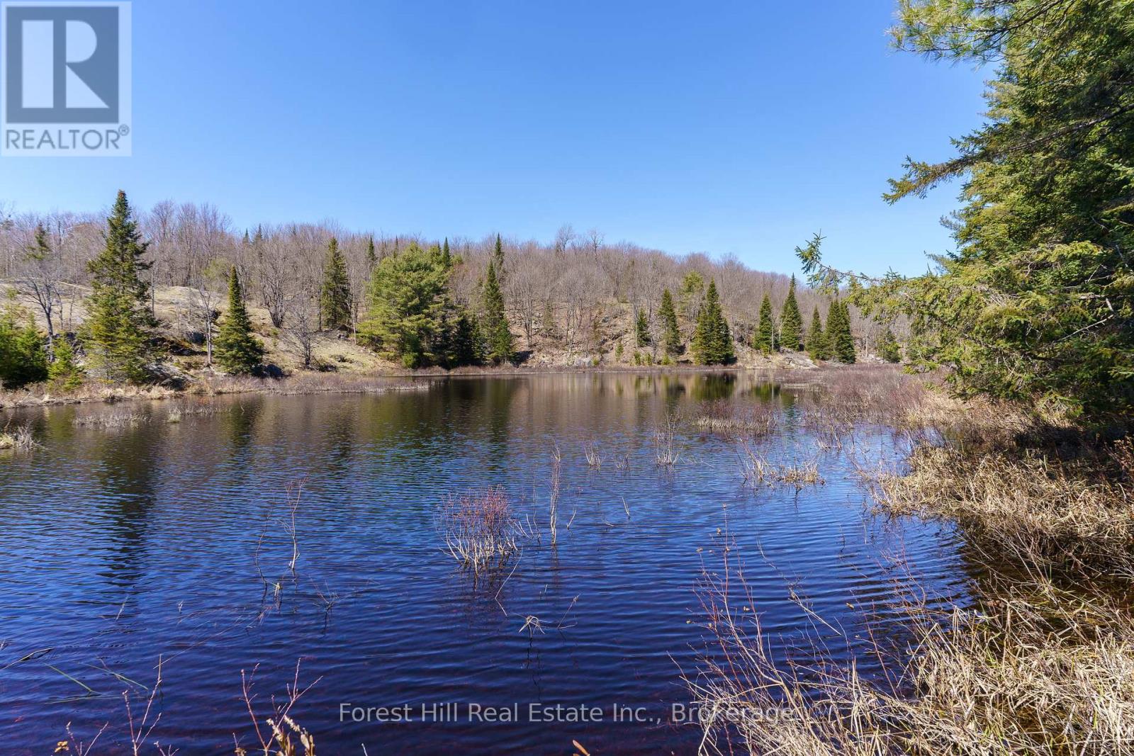 Lt32c9 Concession Line Concession, Lake Of Bays, Ontario  P0A 1B0 - Photo 2 - X12429830