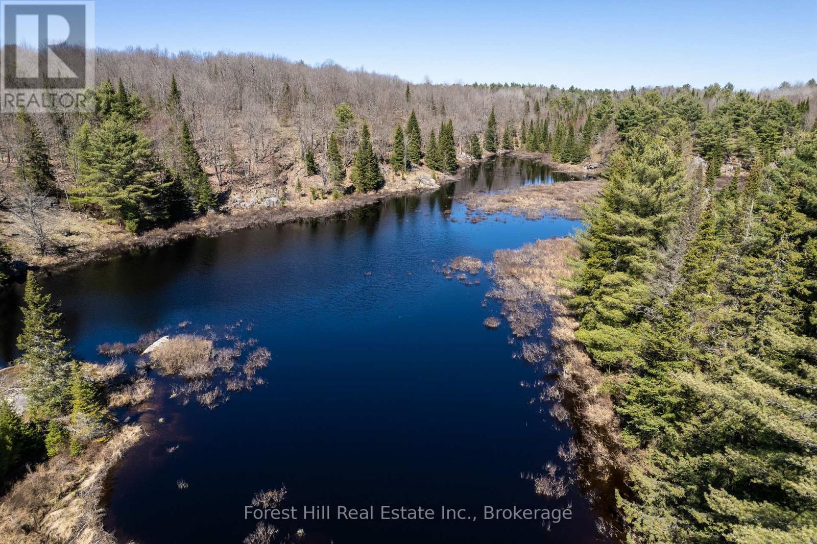 Lt32c9 Concession Line Concession, Lake Of Bays, Ontario  P0A 1B0 - Photo 36 - X12429830
