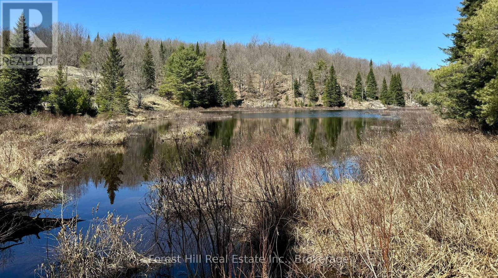 Lt32c9 Concession Line Concession, Lake Of Bays, Ontario  P0A 1B0 - Photo 40 - X12429830
