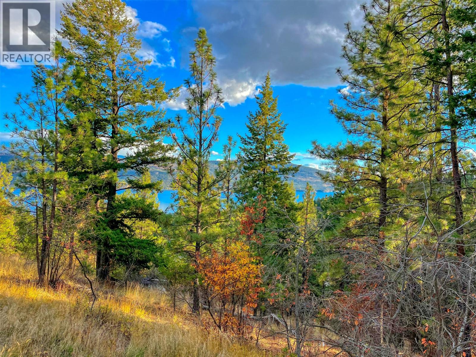 10751 Westshore Road, Vernon, British Columbia  V1H 2C2 - Photo 5 - 10363728