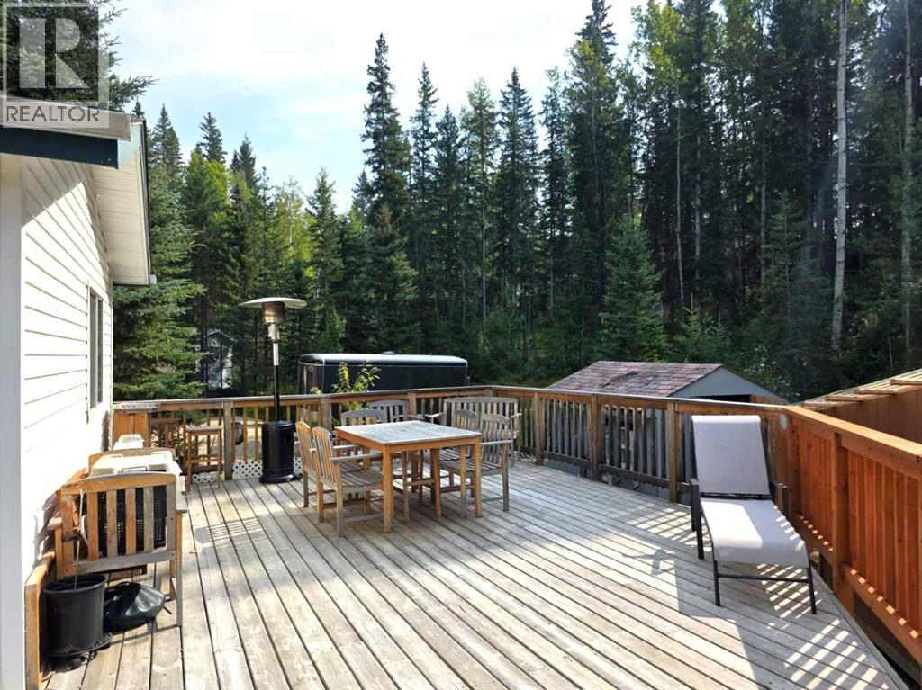 18, 5429 Township Road 494, Rural Brazeau County, Alberta  T0C 1W0 - Photo 27 - A2231911