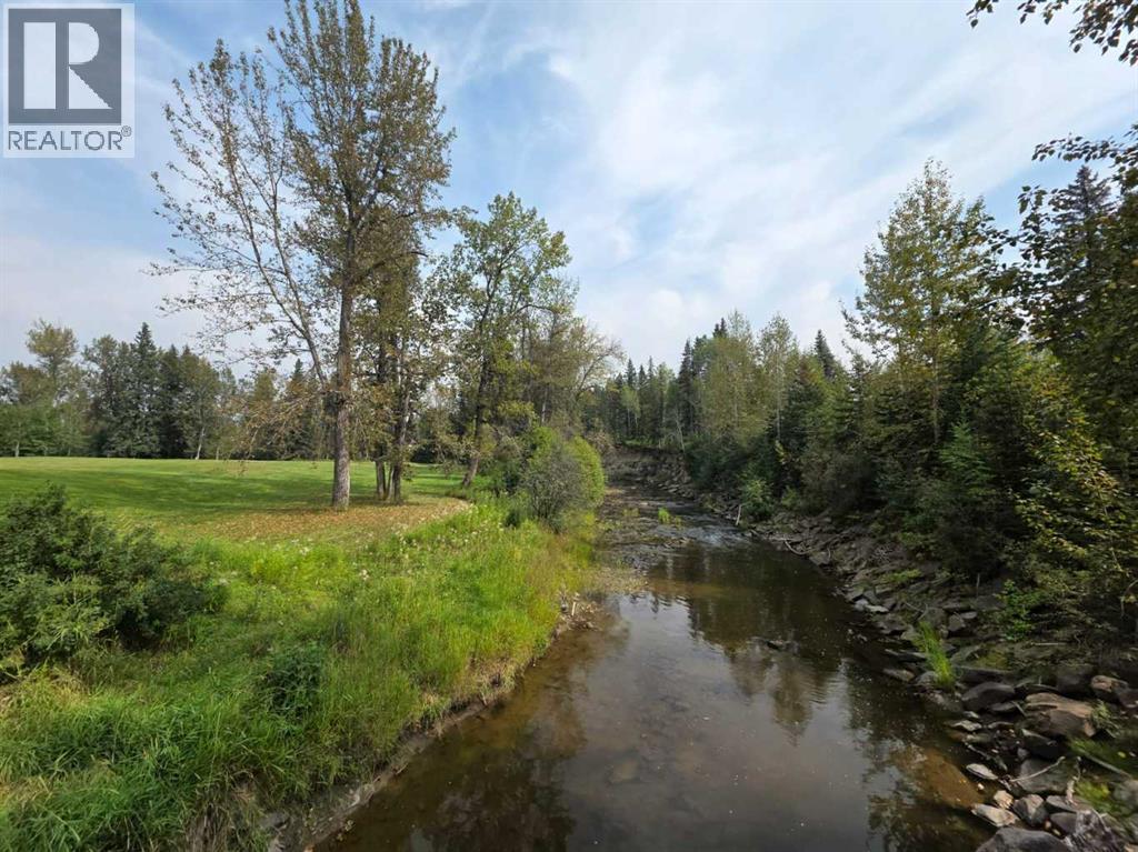 18, 5429 Township Road 494, Rural Brazeau County, Alberta  T0C 1W0 - Photo 33 - A2231911