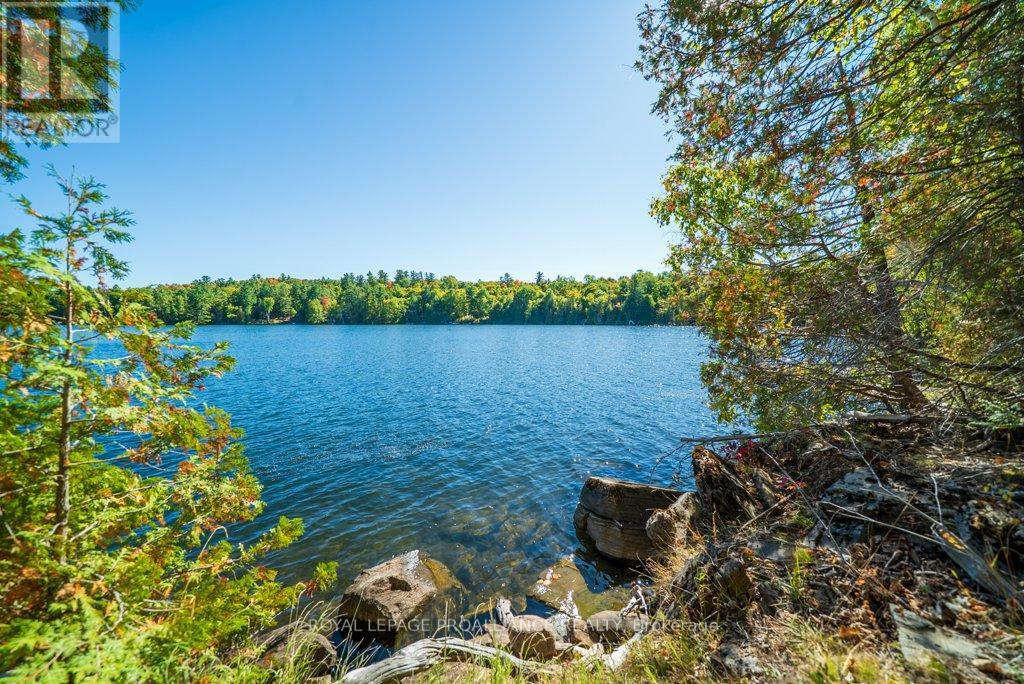 1042 East Flieler Lane, Frontenac, Ontario K0H 1K0 - Photo 43 - X12429865