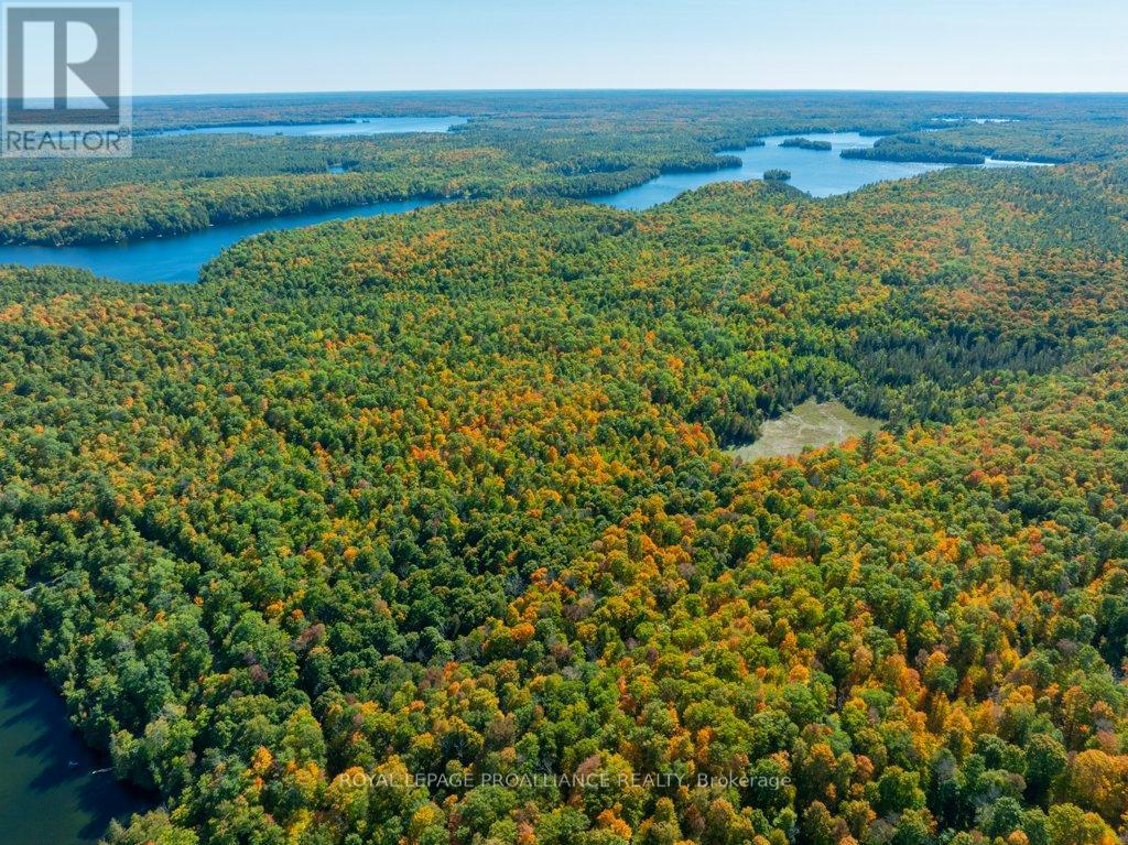 1042 East Flieler Lane, Frontenac, Ontario K0H 1K0 - Photo 49 - X12429865