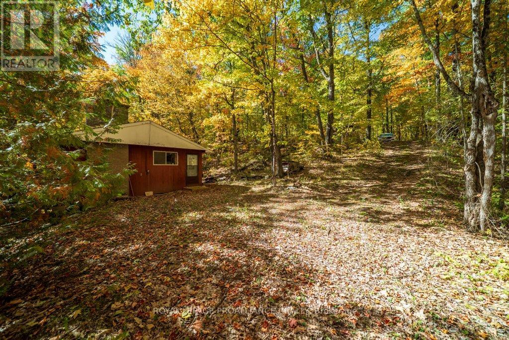 1042 East Flieler Lane, Frontenac, Ontario K0H 1K0 - Photo 5 - X12429865