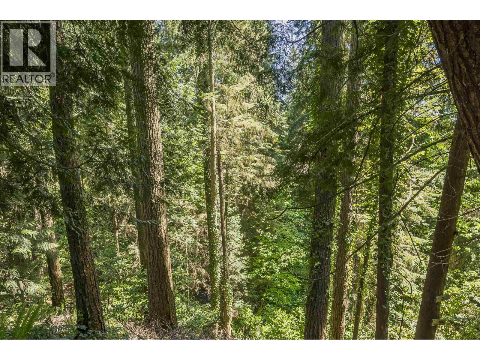 1168 Charland Avenue, Coquitlam, British Columbia  V3K 3L1 - Photo 39 - R3052833