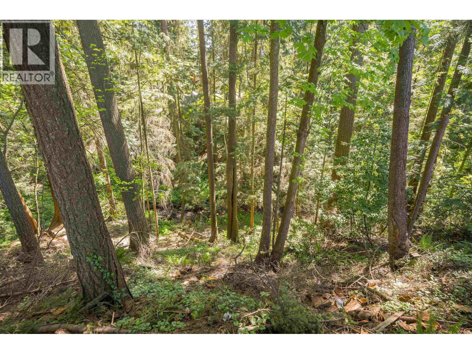 1168 Charland Avenue, Coquitlam, British Columbia  V3K 3L1 - Photo 40 - R3052833