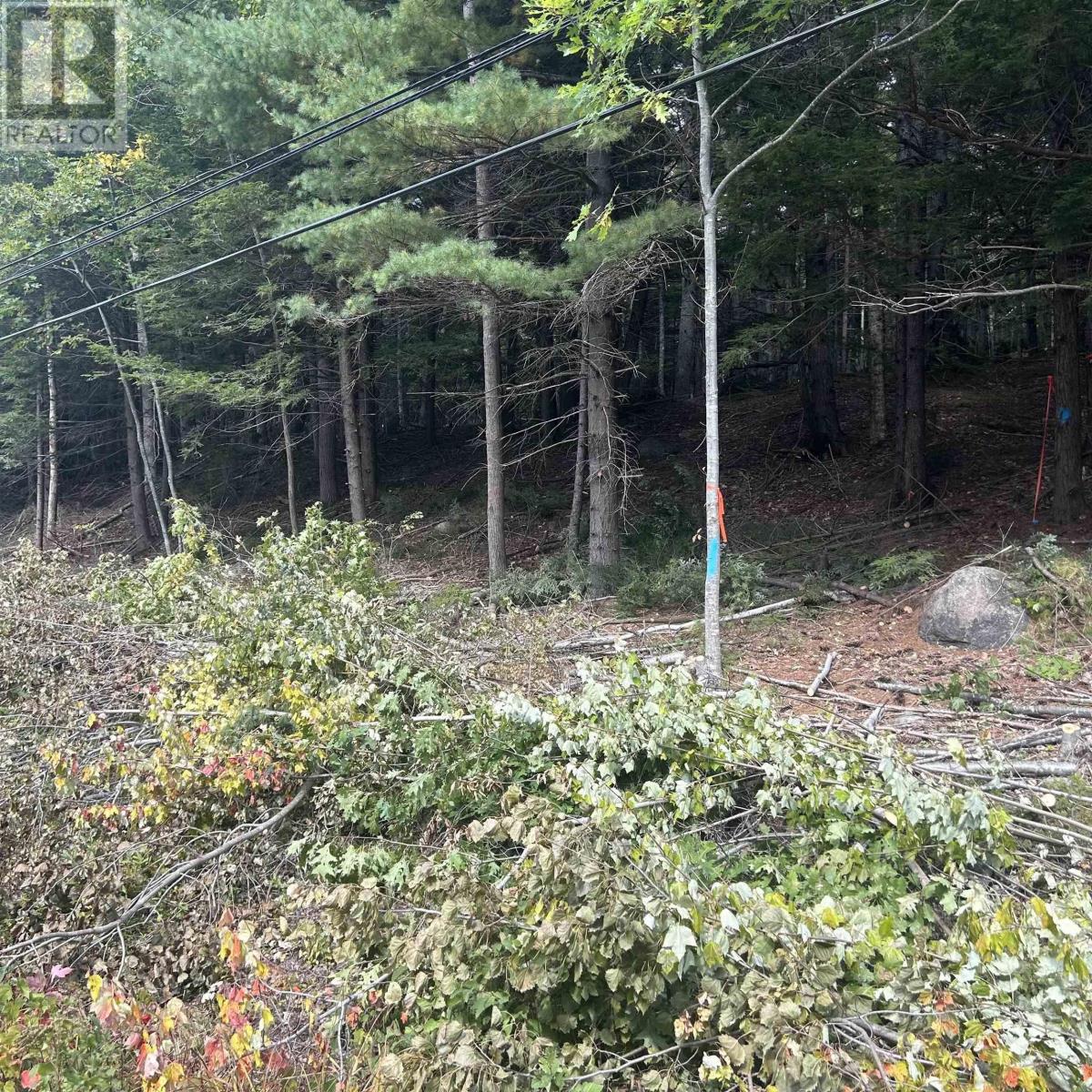 Lot 25-3 Conquerall Mills Road, Conquerall Mills, Nova Scotia  B4V 7A3 - Photo 2 - 202524449