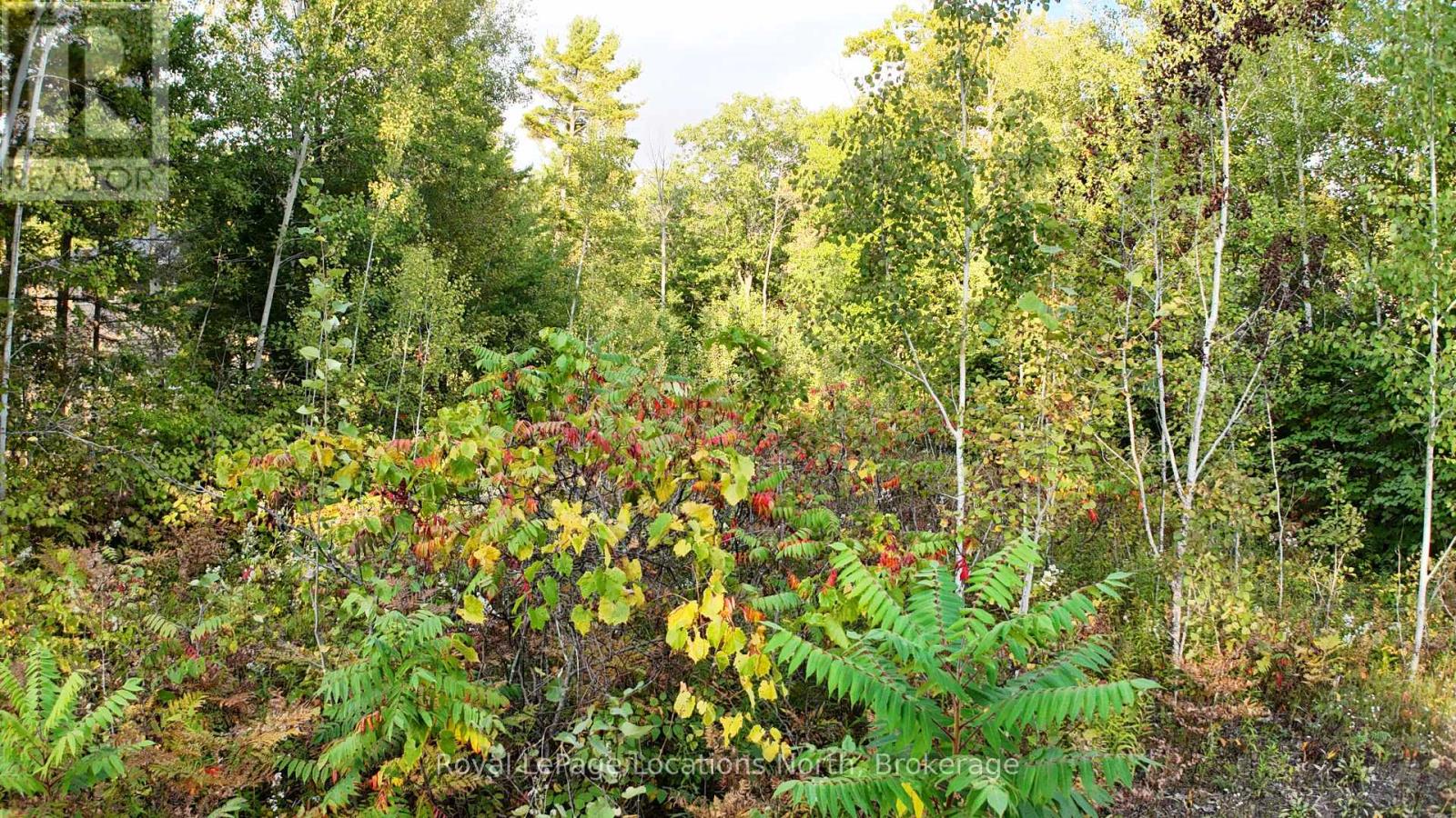 Lot 17 Ronald Avenue, Tiny, Ontario  L0L 1P1 - Photo 10 - S12429816