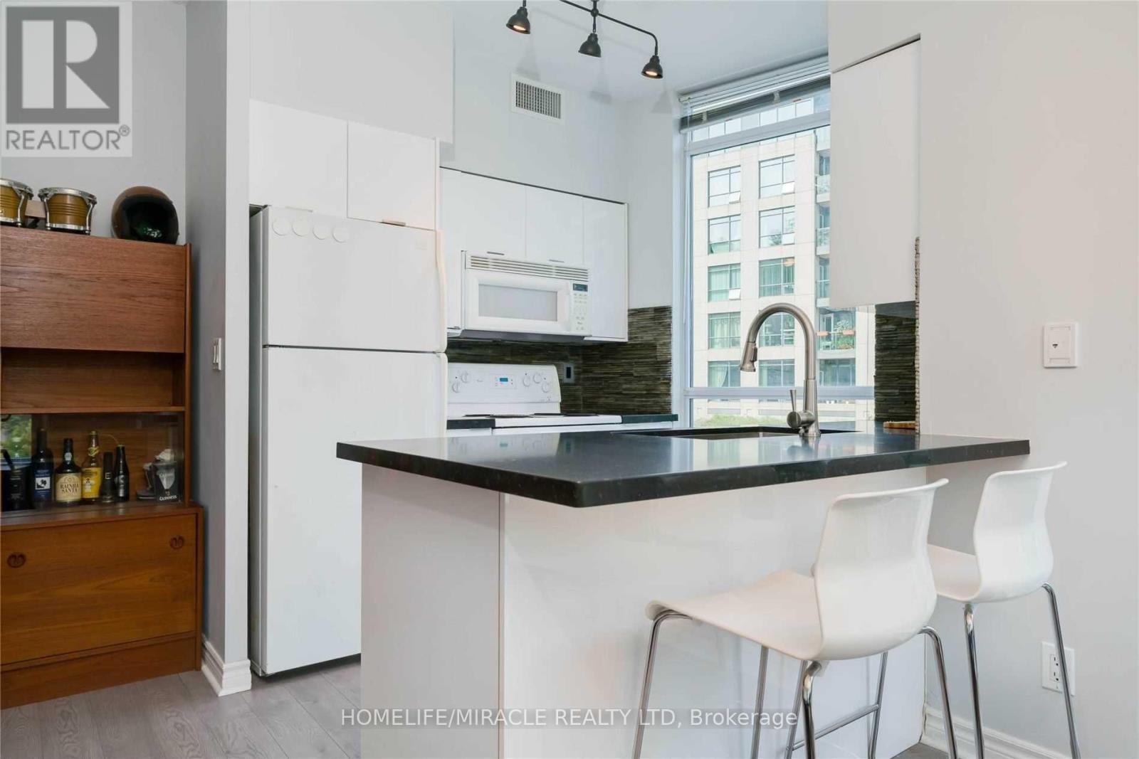 203 - 219 Fort York Boulevard, Toronto, Ontario  M5V 1B1 - Photo 16 - C12430037