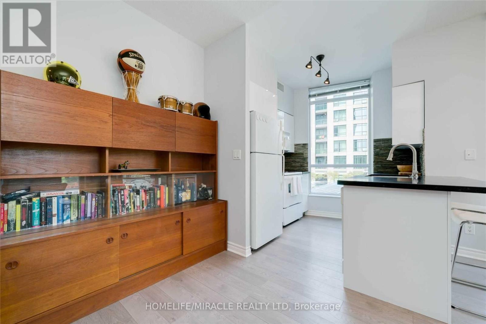 203 - 219 Fort York Boulevard, Toronto, Ontario  M5V 1B1 - Photo 32 - C12430037