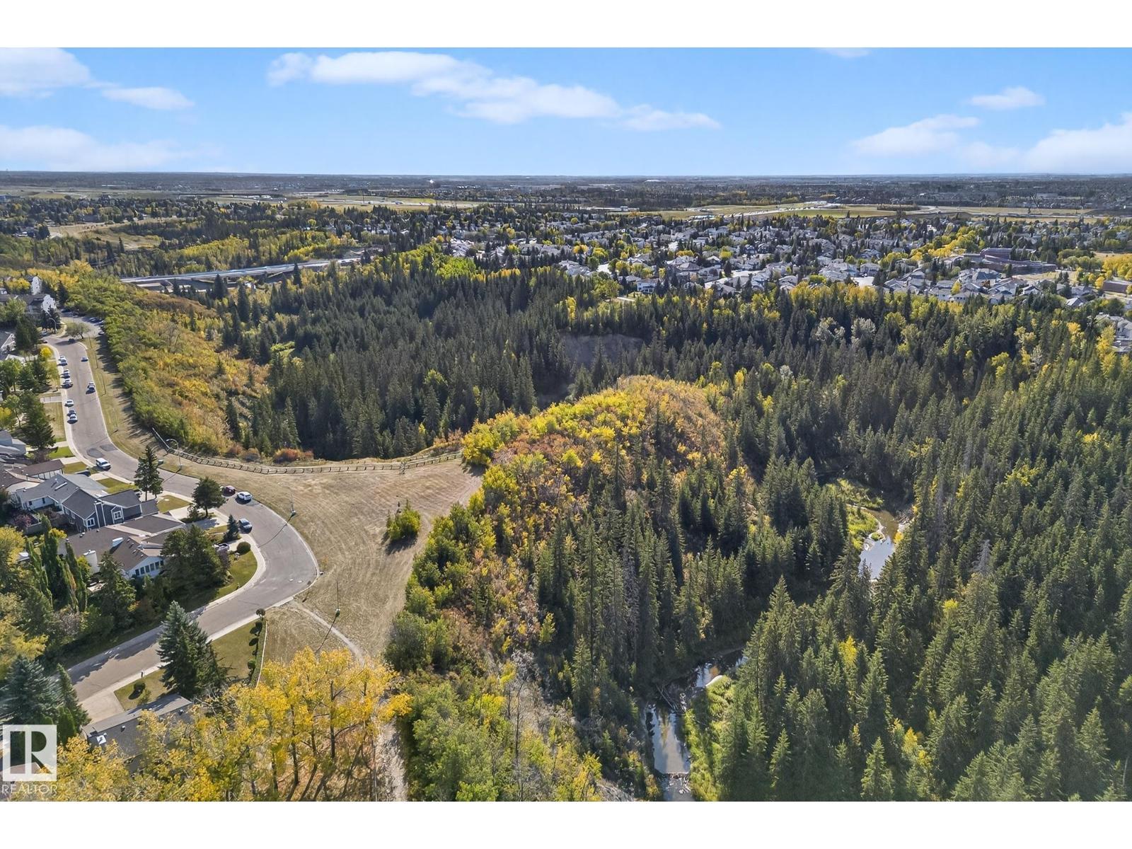 1174 Saddleback Rd Nw, Edmonton, Alberta  T6J 4Z4 - Photo 7 - E4459788