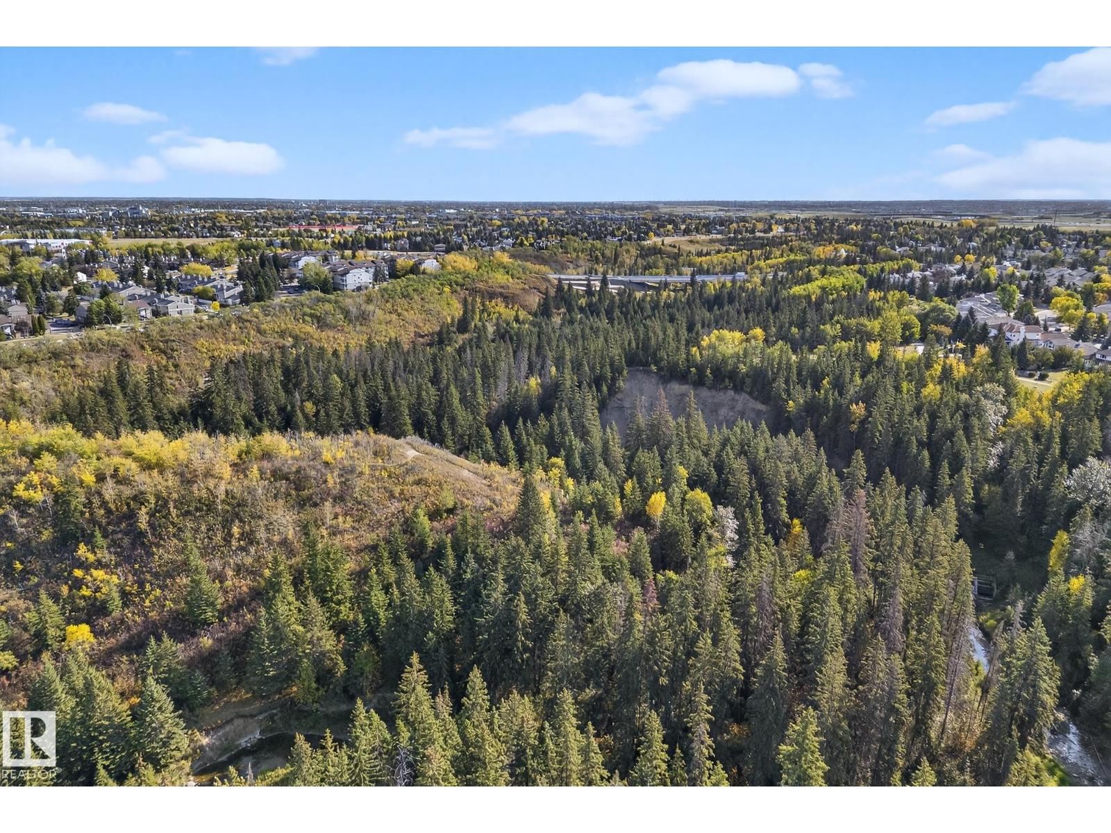 1174 Saddleback Rd Nw, Edmonton, Alberta  T6J 4Z4 - Photo 8 - E4459788