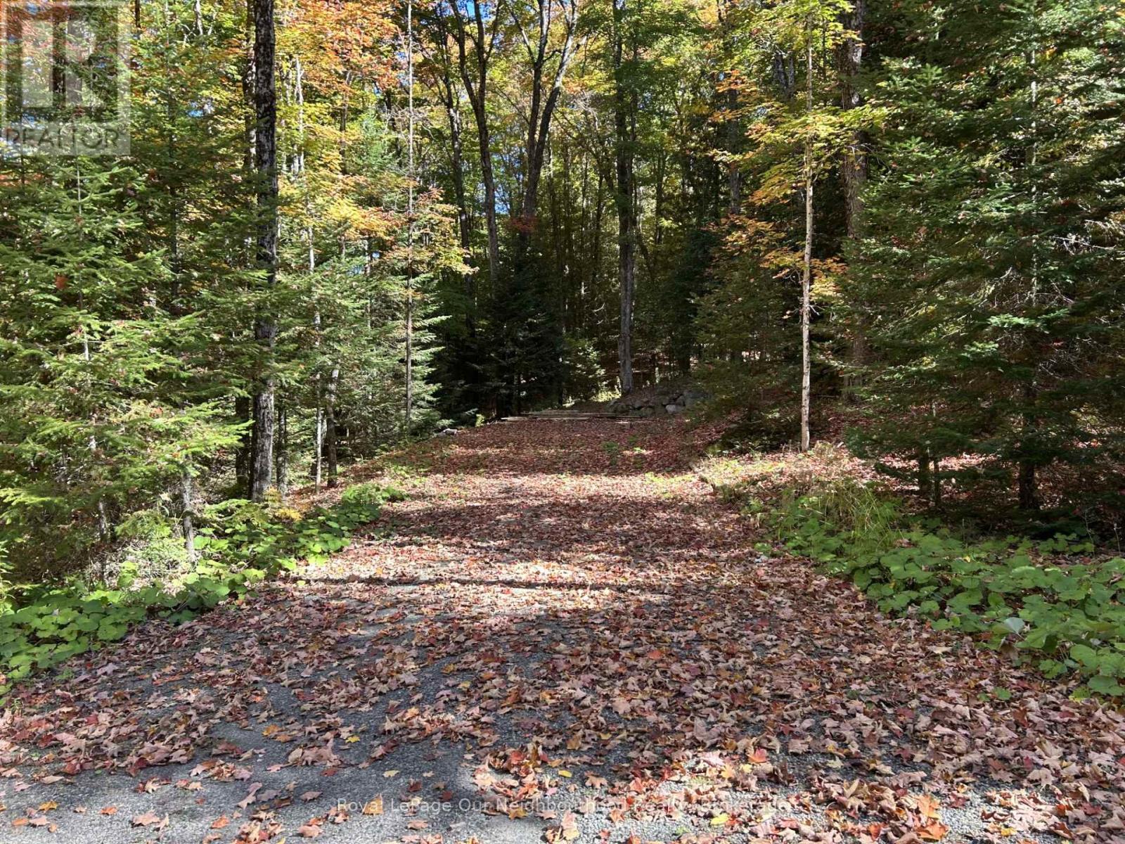 1042 Ski Ridge Trail, Dysart Et Al (Guilford), Ontario  K0M 1M0 - Photo 37 - X12427899