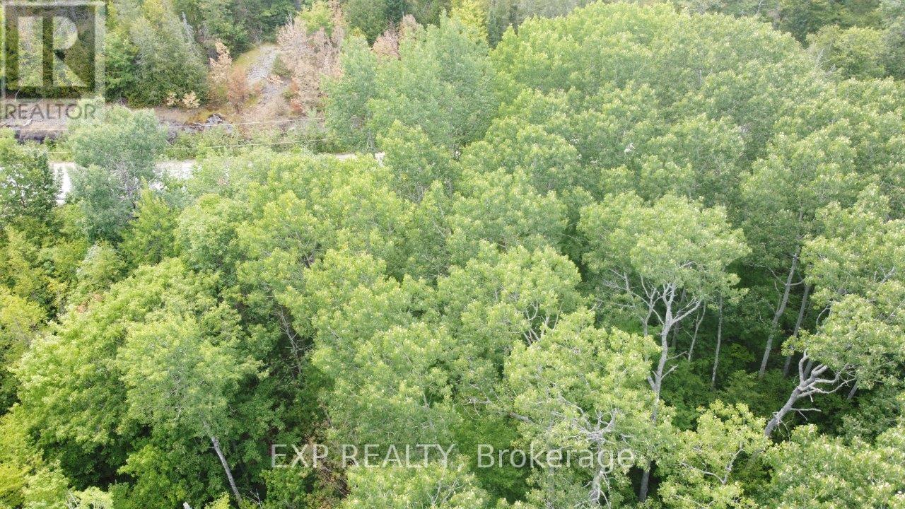 Lot A Arbor Vitae Road, Madawaska Valley, Ontario  K0J 1B0 - Photo 24 - X12064548
