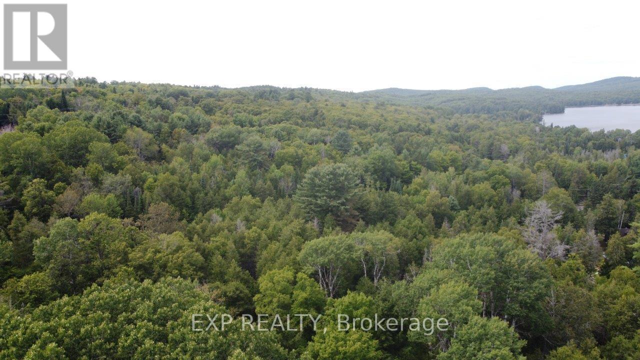 Lot A Arbor Vitae Road, Madawaska Valley, Ontario  K0J 1B0 - Photo 25 - X12064548