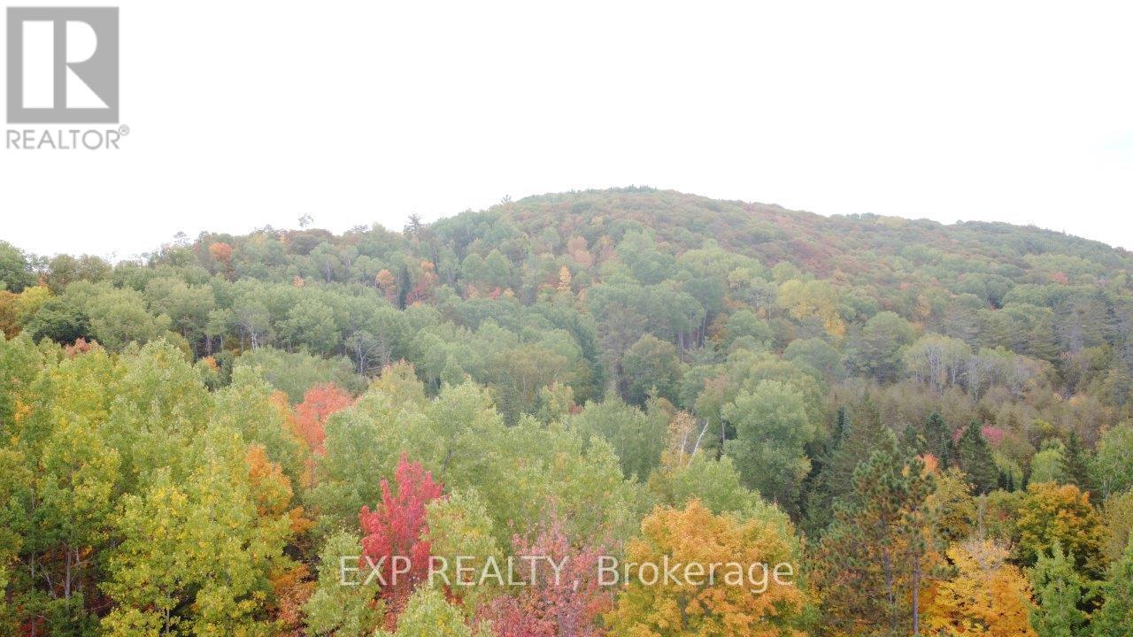366 Wigry Road, Madawaska Valley, Ontario  K0J 1B0 - Photo 10 - X12430166