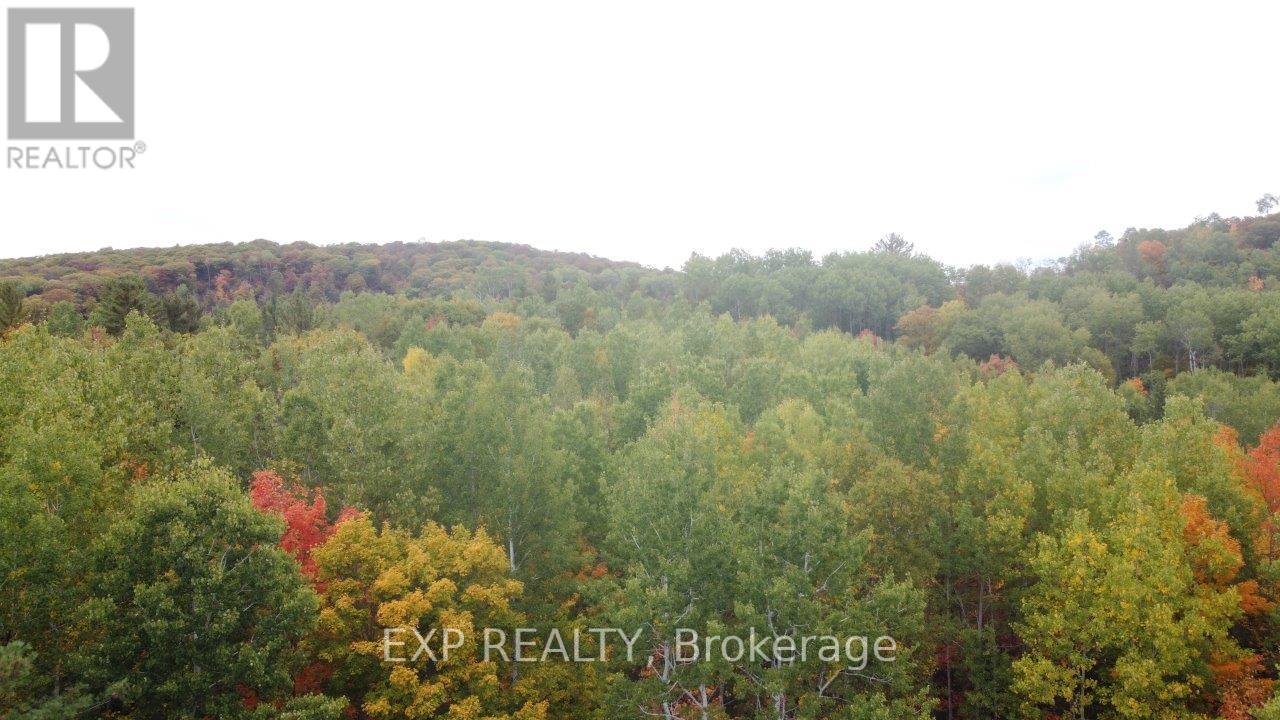 366 Wigry Road, Madawaska Valley, Ontario  K0J 1B0 - Photo 11 - X12430166