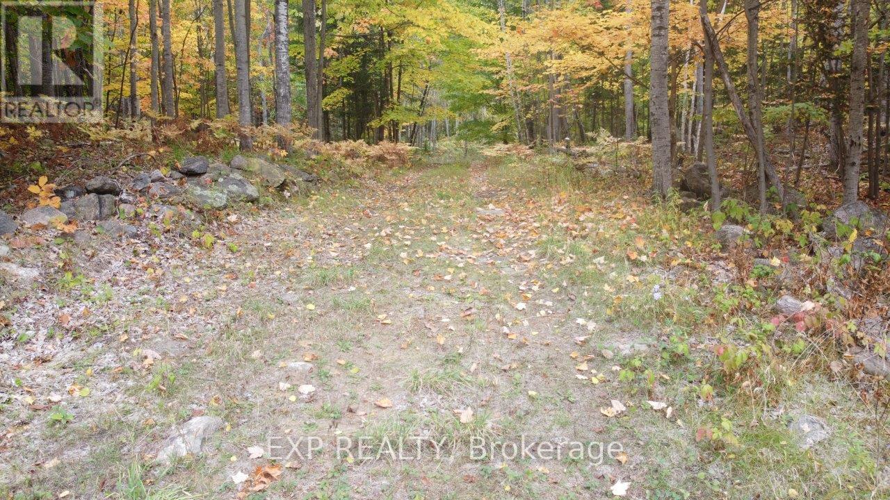 366 Wigry Road, Madawaska Valley, Ontario  K0J 1B0 - Photo 12 - X12430166