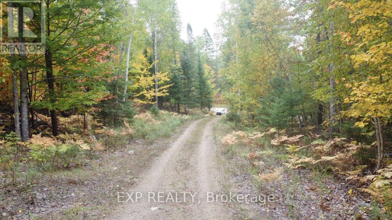 366 Wigry Road, Madawaska Valley, Ontario  K0J 1B0 - Photo 13 - X12430166