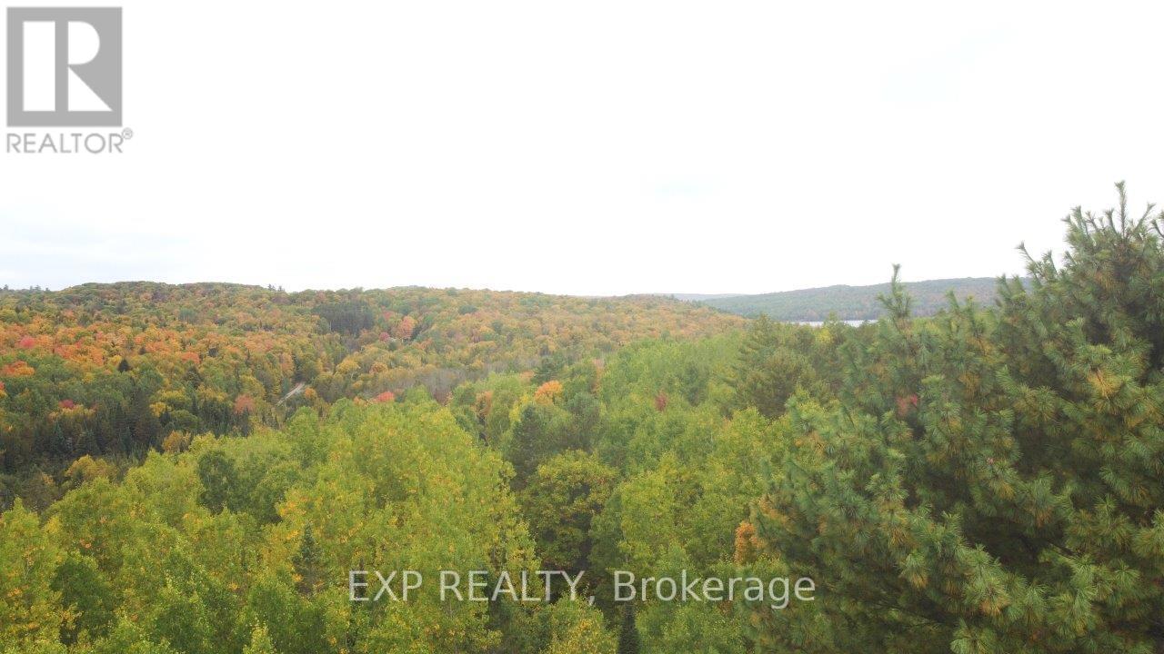 366 Wigry Road, Madawaska Valley, Ontario  K0J 1B0 - Photo 15 - X12430166