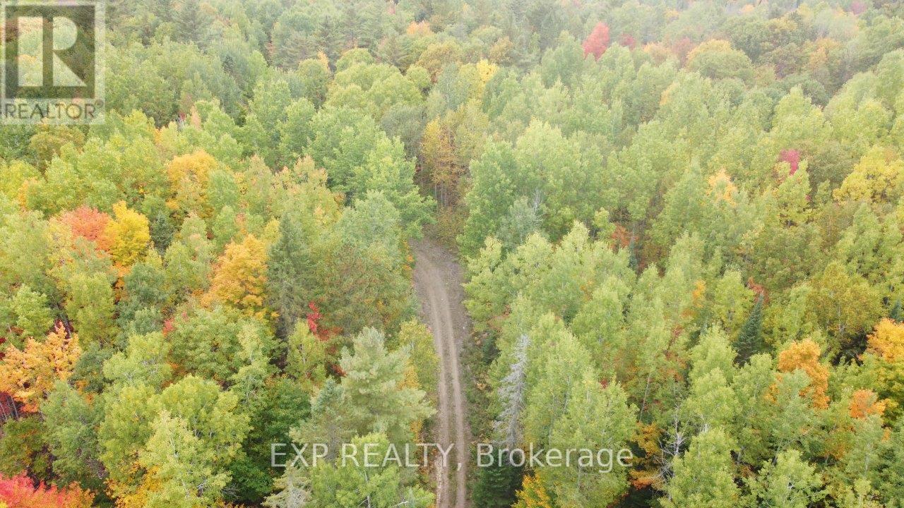 366 Wigry Road, Madawaska Valley, Ontario  K0J 1B0 - Photo 2 - X12430166