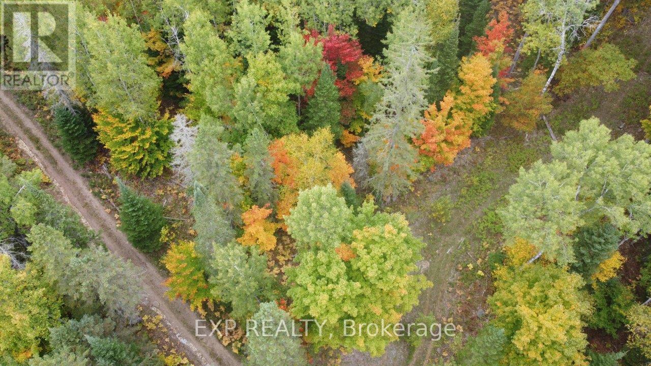 366 Wigry Road, Madawaska Valley, Ontario  K0J 1B0 - Photo 3 - X12430166