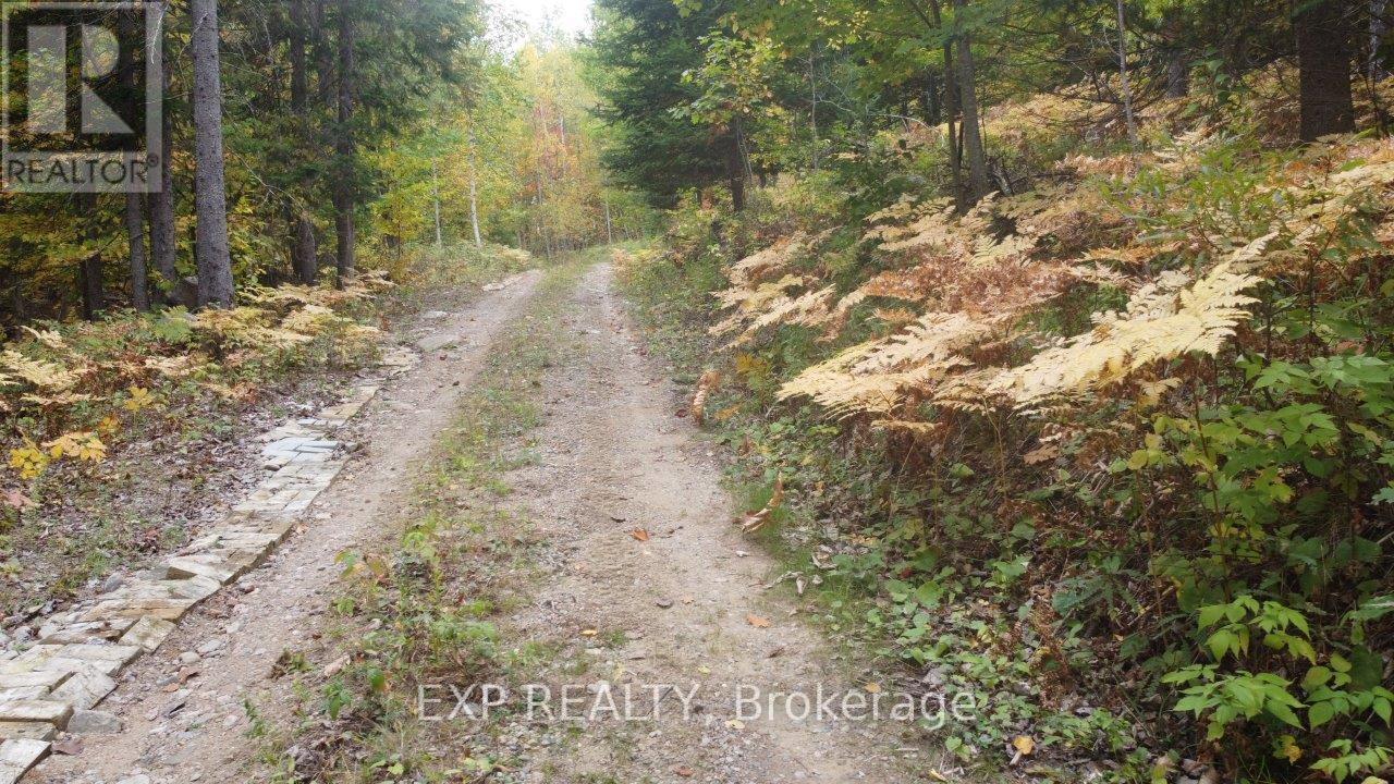 366 Wigry Road, Madawaska Valley, Ontario  K0J 1B0 - Photo 4 - X12430166