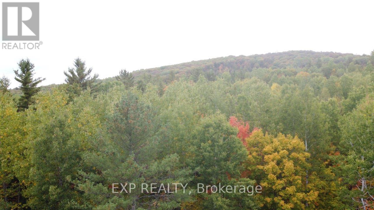 366 Wigry Road, Madawaska Valley, Ontario  K0J 1B0 - Photo 7 - X12430166