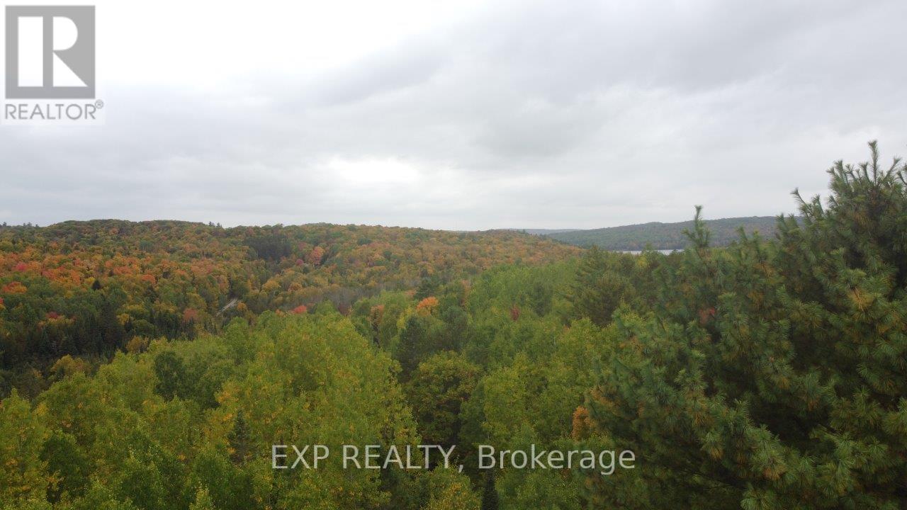 366 Wigry Road, Madawaska Valley, Ontario  K0J 1B0 - Photo 8 - X12430166