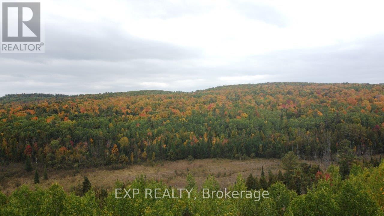 366 Wigry Road, Madawaska Valley, Ontario  K0J 1B0 - Photo 9 - X12430166