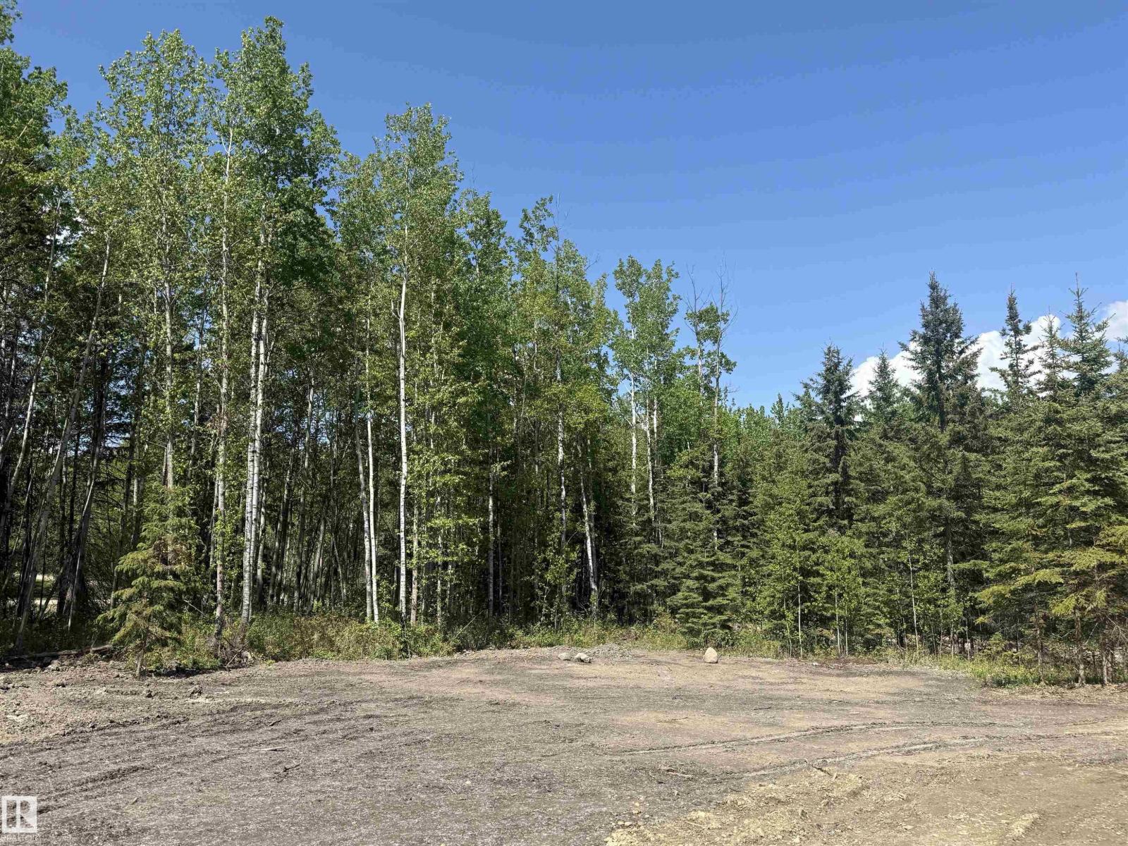 420 1414 Hwy 37, Rural Lac Ste. Anne County, Alberta  T5A 1H3 - Photo 7 - E4459007