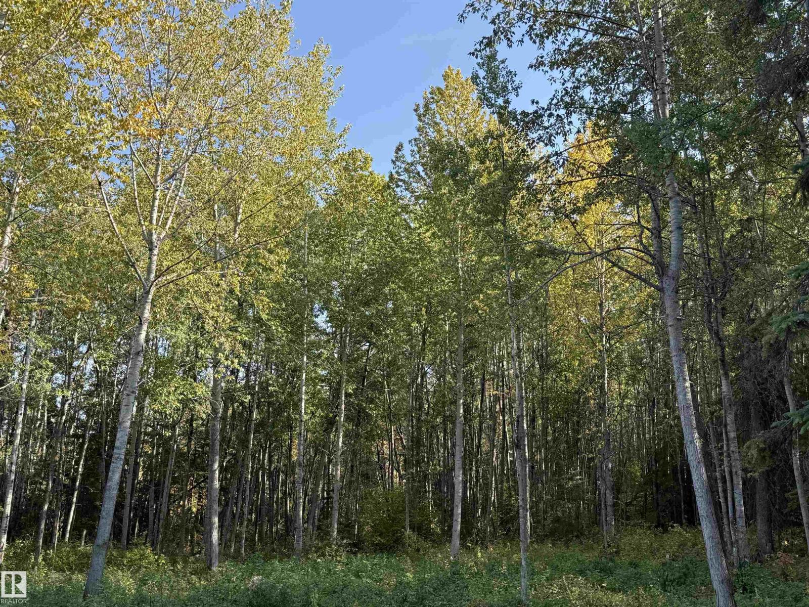 420 1414 Hwy 37, Rural Lac Ste. Anne County, Alberta  T5A 1H3 - Photo 6 - E4459007