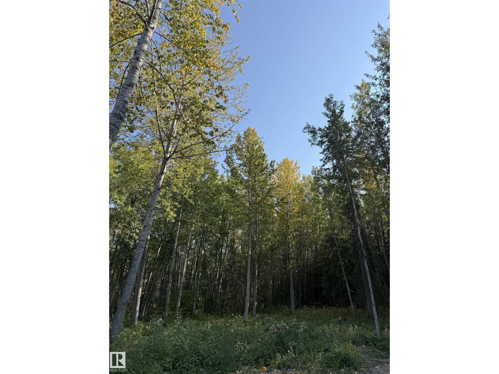 420 1414 Hwy 37, Rural Lac Ste. Anne County, Alberta  T5A 1H3 - Photo 64 - E4459007