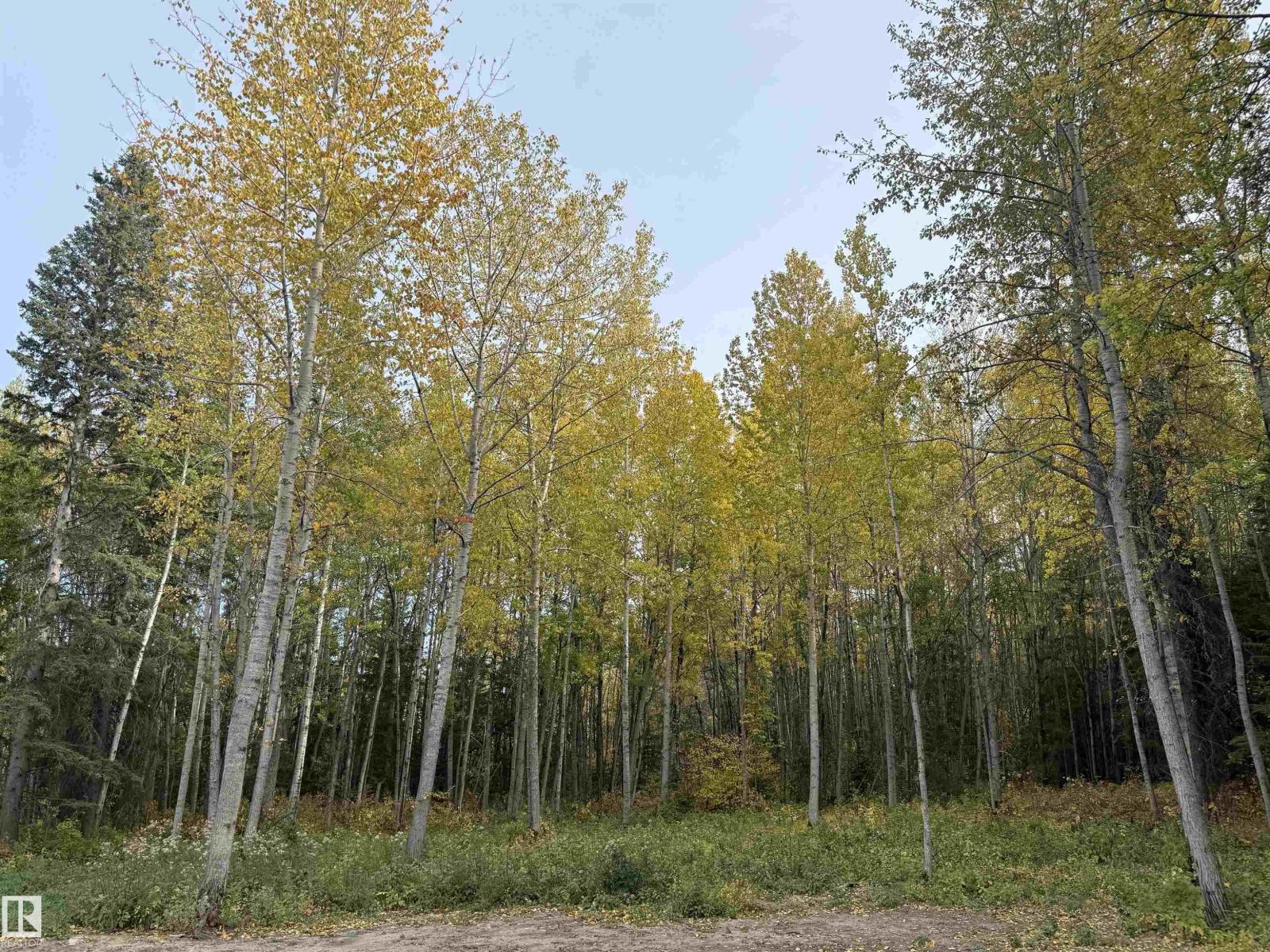 420 1414 Hwy 37, Rural Lac Ste. Anne County, Alberta  T5A 1H3 - Photo 75 - E4459007