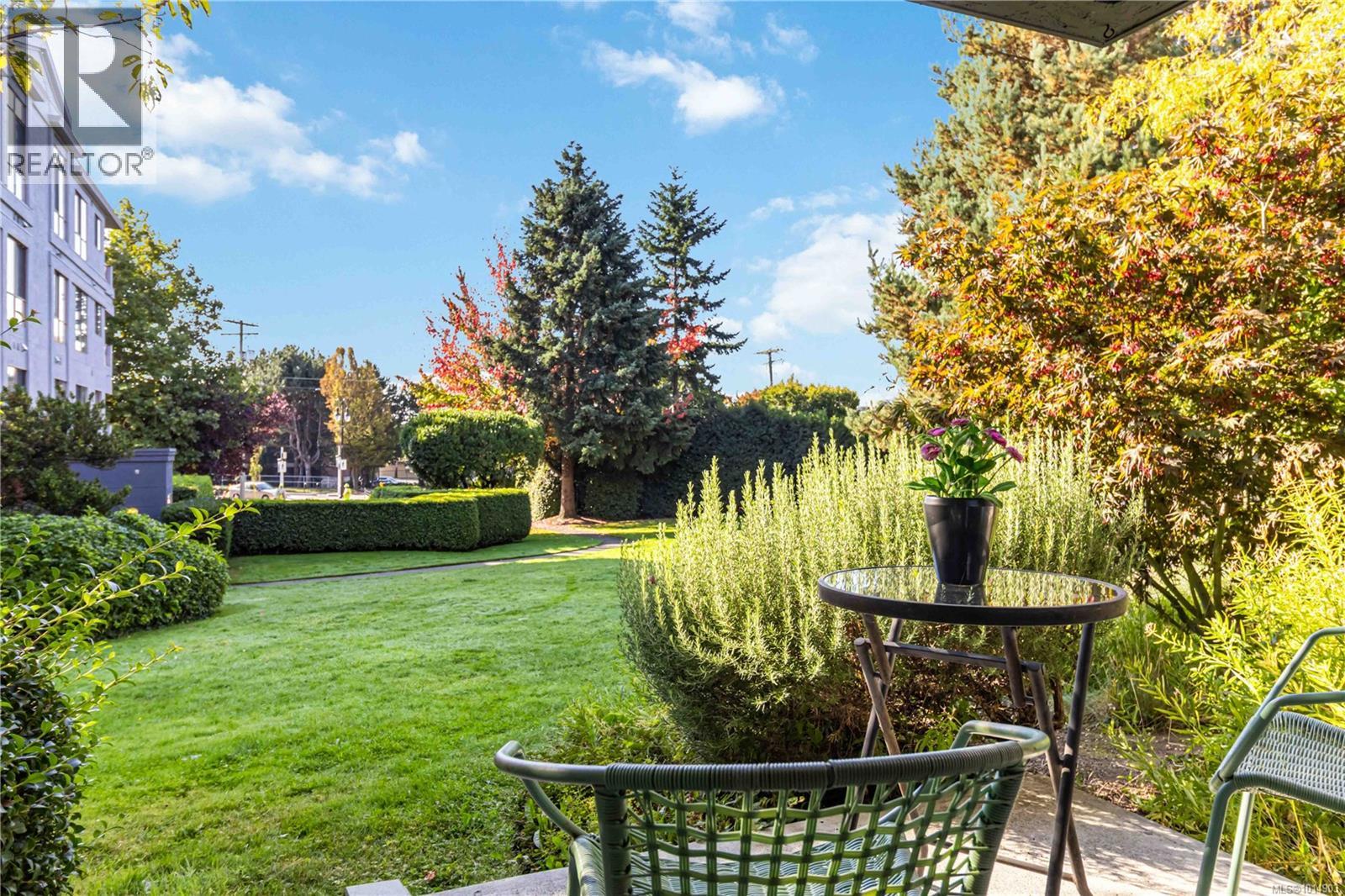 104 545 Manchester Rd, Victoria, British Columbia  V8T 5H6 - Photo 3 - 1014903