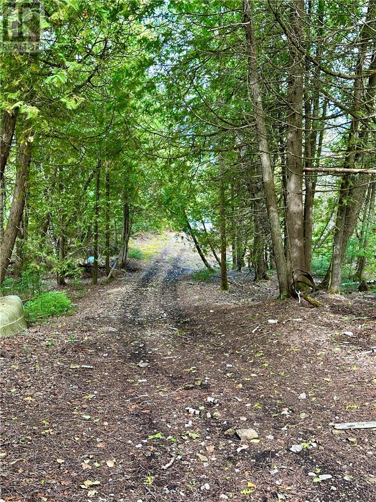 Lt 37 & 38 Con 14, Manitoulin Island, Ontario  P0P 1R0 - Photo 16 - 2123006