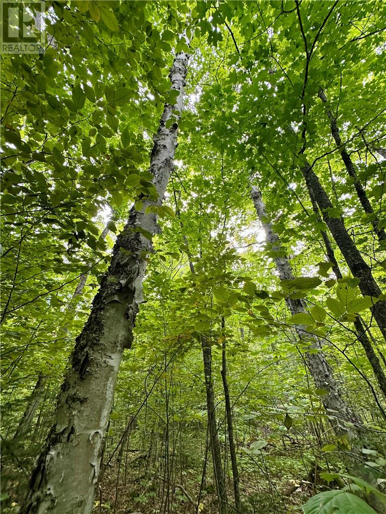 Lt 37 & 38 Con 14, Manitoulin Island, Ontario  P0P 1R0 - Photo 18 - 2123006