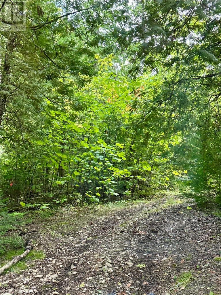 Lt 37 & 38 Con 14, Manitoulin Island, Ontario  P0P 1R0 - Photo 17 - 2123006