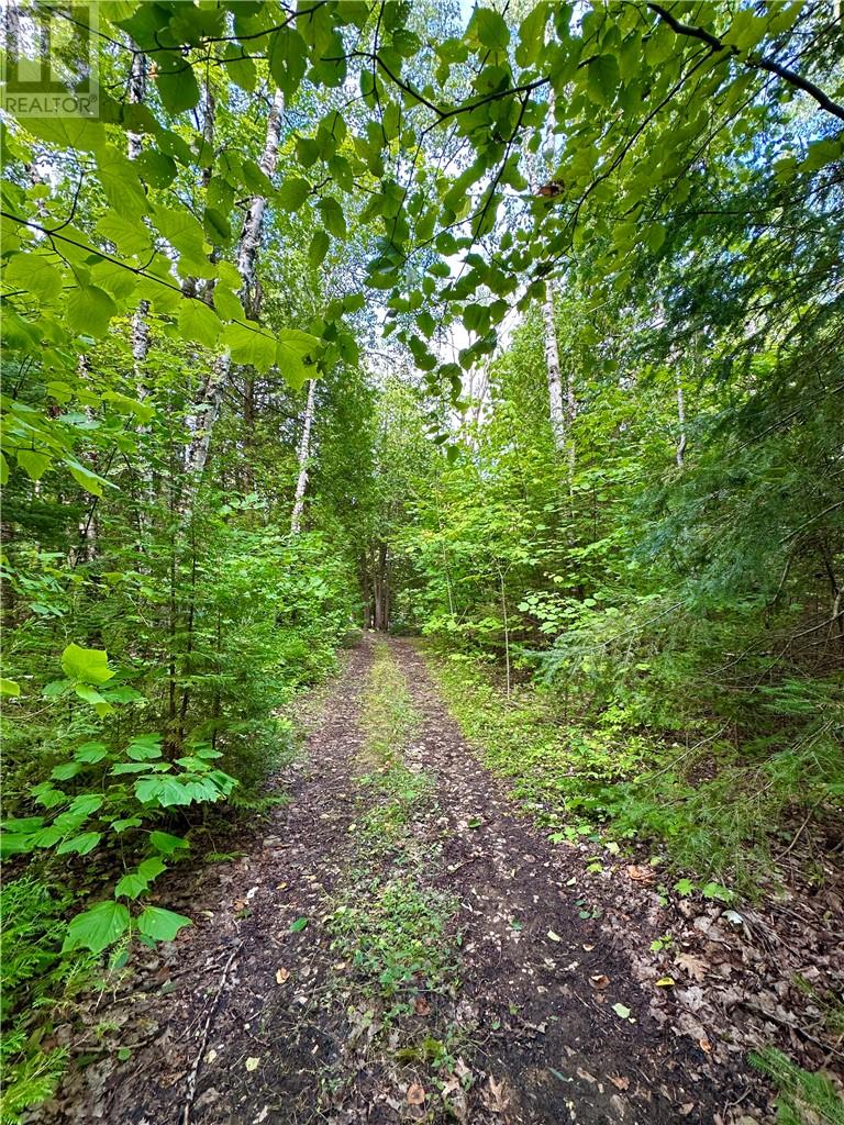 Lt 37 & 38 Con 14, Manitoulin Island, Ontario  P0P 1R0 - Photo 13 - 2123006