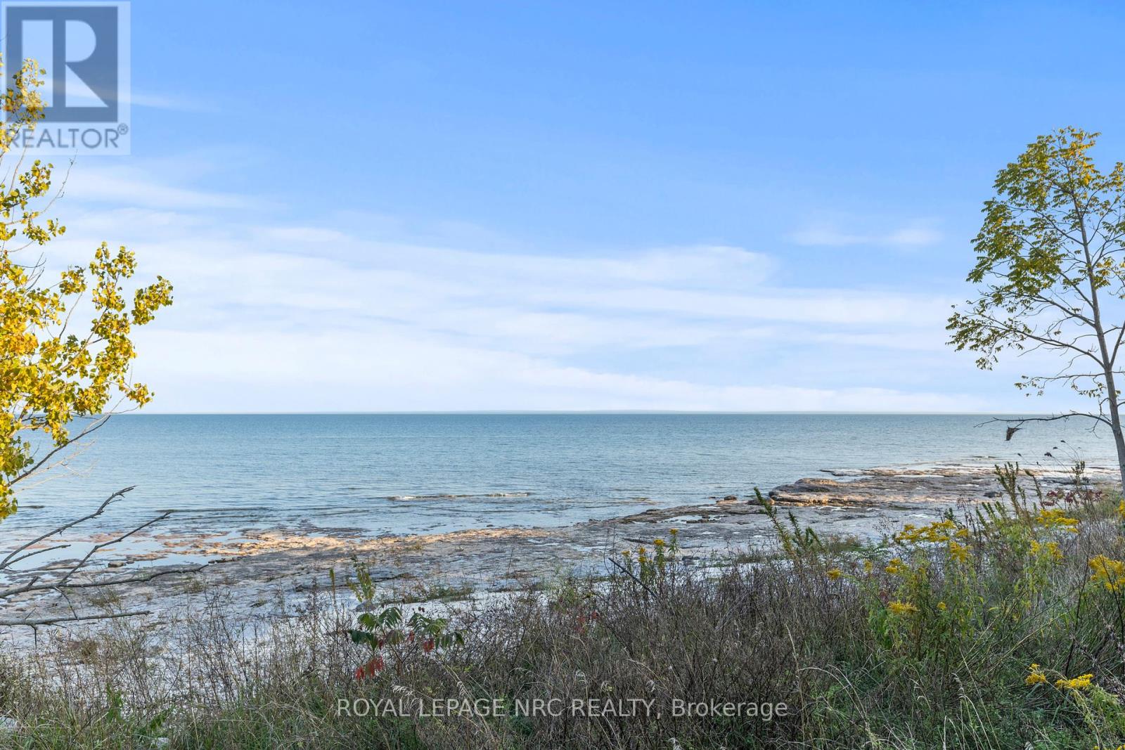 12028 Augustine Road, Wainfleet, Ontario  L0S 1V0 - Photo 45 - X12430232